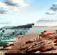 Great Walks of Australia 4-Day Freycinet Experience Walk - Holiday Find