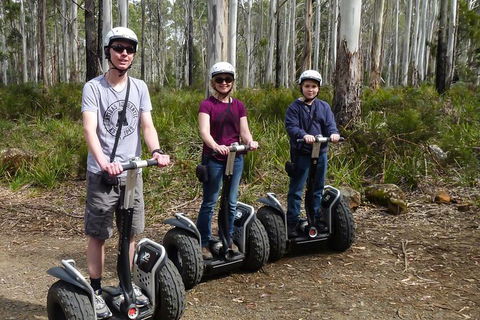 Hollybank Wilderness Adventures - Segway Tour - Holiday Find 1