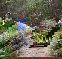 Hollybank Wilderness Adventures - Segway Tour - Holiday Find