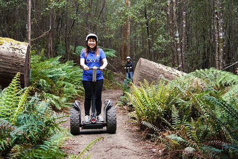 Hollybank Wilderness Adventures - Segway Tour - Holiday Find 0
