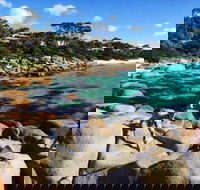 4-Day Tasmania East Coast Adventure from Launceston to Hobart Including Bay of Fires Wineglass Bay Bruny Island and Port Arthu - Holiday Find