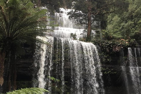 Wilderness And Wildlife - Holiday Find 1