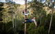 Hollybank Wilderness Adventure - Zipline Tours - thumb 1