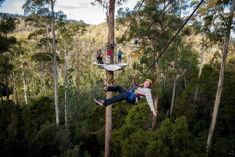 Hollybank Wilderness Adventure - Zipline Tours - Holiday Find 1