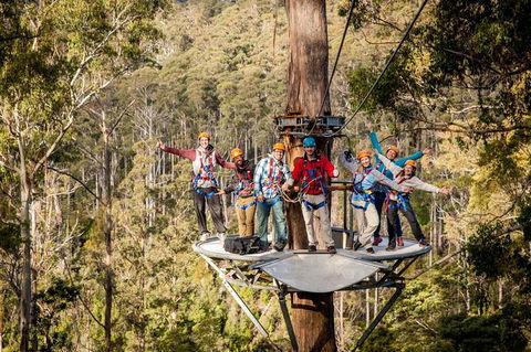 Hollybank Wilderness Adventure - Zipline Tours - Holiday Find 2
