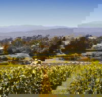 Josef Chromy Wines Winery Tour Including Tasting and Lunch - Holiday Find