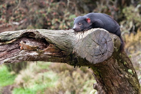 Day Keeper Tour - Holiday Find 8