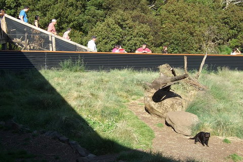 Day Keeper Tour - Holiday Find 7