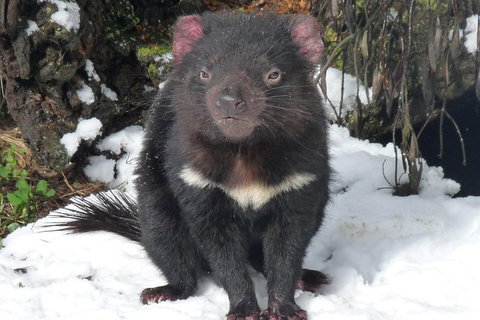 Day Keeper Tour - Holiday Find 3