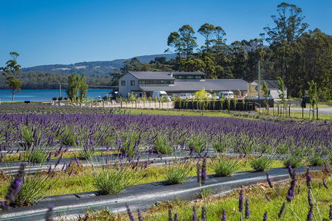 Private Tasman Peninsula Cruise Ship Tour From Port Arthur - Holiday Find 0