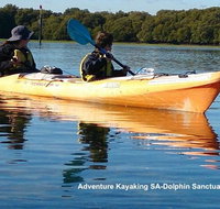 Adelaide Dolphin Sanctuary and Ships Graveyard Kayak Tour