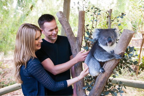 Adelaide Central Market With Cleland Wildlife Park And Mount Lofty Summit - Holiday Find 1