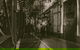 Adelaide Gaol Ghost Tour And Paranormal Investigation - thumb 6