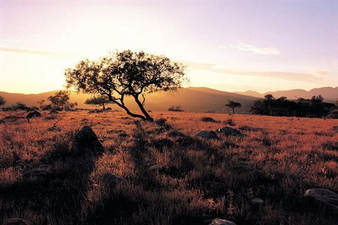 Adelaide To Coober Pedy 7 DAY SMALL GROUP 4WD SAFARI - Holiday Find 4