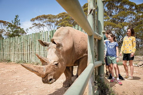 Rhino Interactive And A Day At Monarto Safari Park - Holiday Find 0