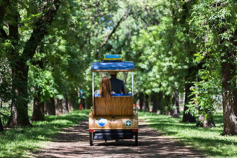 Adelaide 90-Minute Pedicab Tour: Scenic Green & River Experience - Holiday Find 2