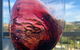 Barossa Wine Tour - thumb 0