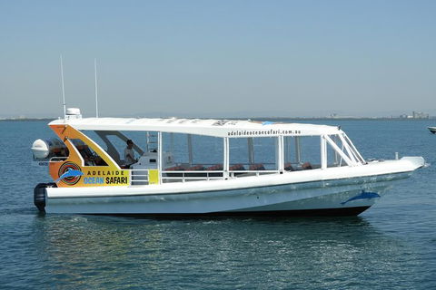 Adelaide Ocean Safari - Wild Dolphin Safari - Holiday Find 0