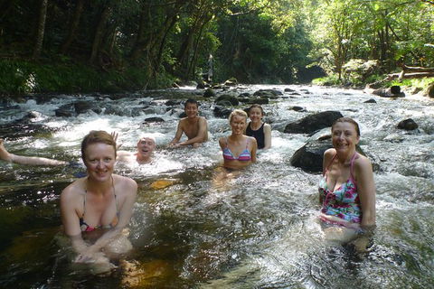 Daintree Rainforest, Cape Tribulation, Mossman Gorge In A Day - Holiday Find 10