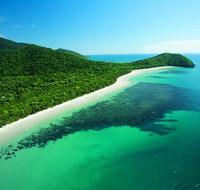 Cape Tribulation Mossman Gorge and Daintree Rainforest Day Trip from Cairns or Port Douglas - Holiday Find
