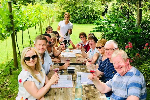 Mount Tamborine Wine Tasting Tour From Brisbane Or The Gold Coast - Holiday Find 0