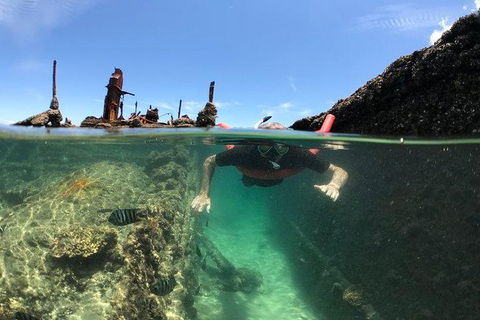 Eco Marine Safari - Boom Netting & Snorkeling Moreton Island - Fortitude Valley - Holiday Find 1