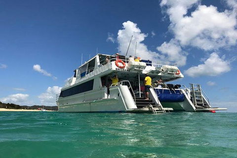 Eco Marine Safari - Boom Netting & Snorkeling Moreton Island - Fortitude Valley - Holiday Find 2
