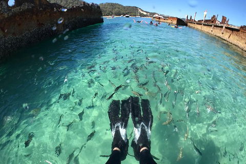 Eco Marine Safari - Boom Netting & Snorkeling Moreton Island - Fortitude Valley - Holiday Find 6