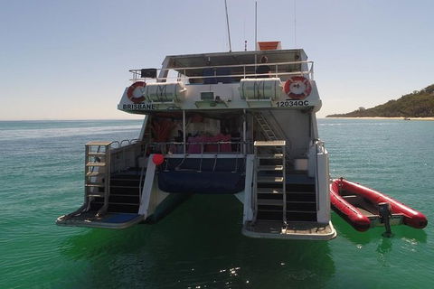 Eco Marine Safari - Boom Netting & Snorkeling Moreton Island - Fortitude Valley - Holiday Find 13