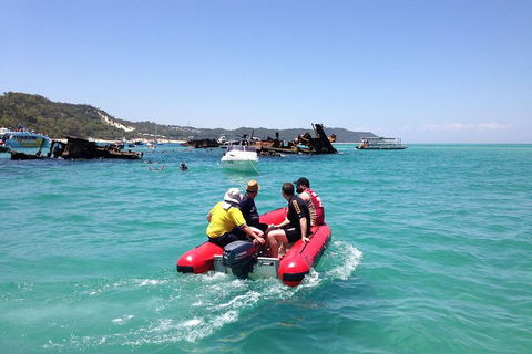 Eco Marine Safari - Boom Netting & Snorkeling Moreton Island - Fortitude Valley - Holiday Find 3