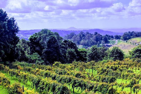 Queensland Food Tour: Farm-to-Table Indulgence - Holiday Find 6