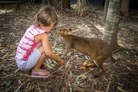 Hartley's Crocodile Adventures Day Trip From Cairns - Holiday Find 1