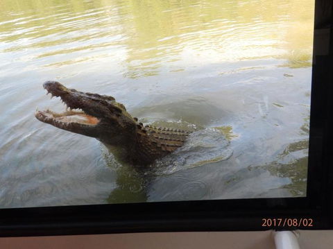 Hartley's Crocodile Adventures Day Trip From Cairns - Holiday Find 4