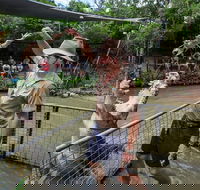 Hartley's Crocodile Adventures Day Trip from Cairns - Holiday Find