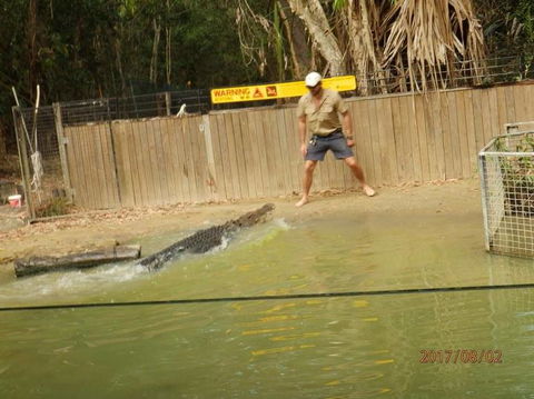 Hartley's Crocodile Adventures Day Trip From Cairns - Holiday Find 8