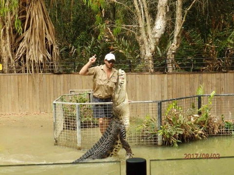 Hartley's Crocodile Adventures Day Trip From Cairns - Holiday Find 2