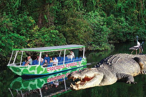 Daintree River Cruise - Holiday Find 7