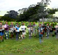 Full Day Mount Tamborine Winery Tour from Brisbane - Holiday Find