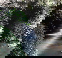 Small-Group 4WD Springbrook National Park Day Trip from Brisbane - Holiday Find
