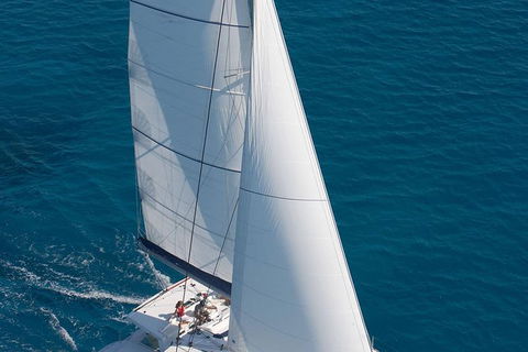 Afternoon Low Isles Snorkeling And Sailing Cruise From Port Douglas - Holiday Find 1