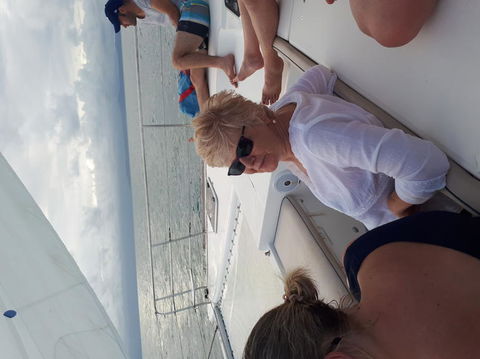 Afternoon Low Isles Snorkeling And Sailing Cruise From Port Douglas - Holiday Find 5