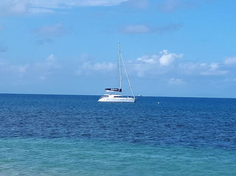 Afternoon Low Isles Snorkeling And Sailing Cruise From Port Douglas - Holiday Find 7