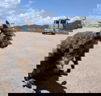 Magnetic Island Tour Maggie Comprehensive - Holiday Find