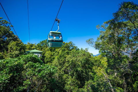 Kuranda Scenic Railway Day Trip From Palm Cove - Holiday Find 3