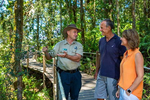 Kuranda Scenic Railway Day Trip From Palm Cove - Holiday Find 4