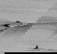 Overnight Tweed Coast Camping and Surfing Getaway From The Gold Coast - Holiday Find