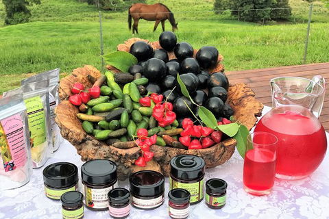 Atherton Tablelands Small-Group Food & Wine Tasting Tour From Port Douglas - Holiday Find 12