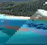 All Inclusive Dolphin and Tangalooma Wrecks Cruise Departing Gold Coast - Holiday Find