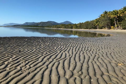 Guided Eco Segway Tours Four Mile Beach Port Douglas - Holiday Find 4