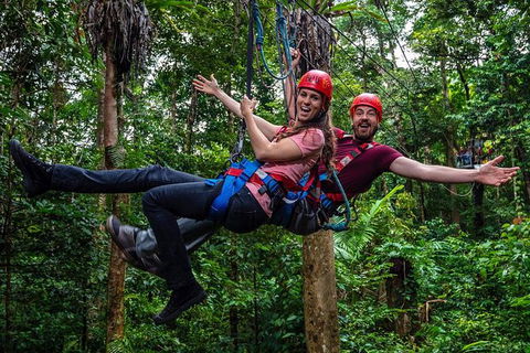 Daintree Atttractions Pass: The Best Of The Daintree In A Day - Holiday Find 1